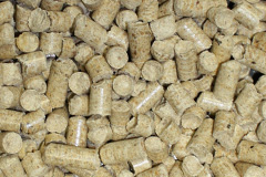 Beancross biomass boiler costs